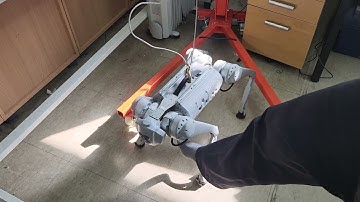 20251029 135829 Unitree Go1 Sim2Real policy deploy - Stability Test 2