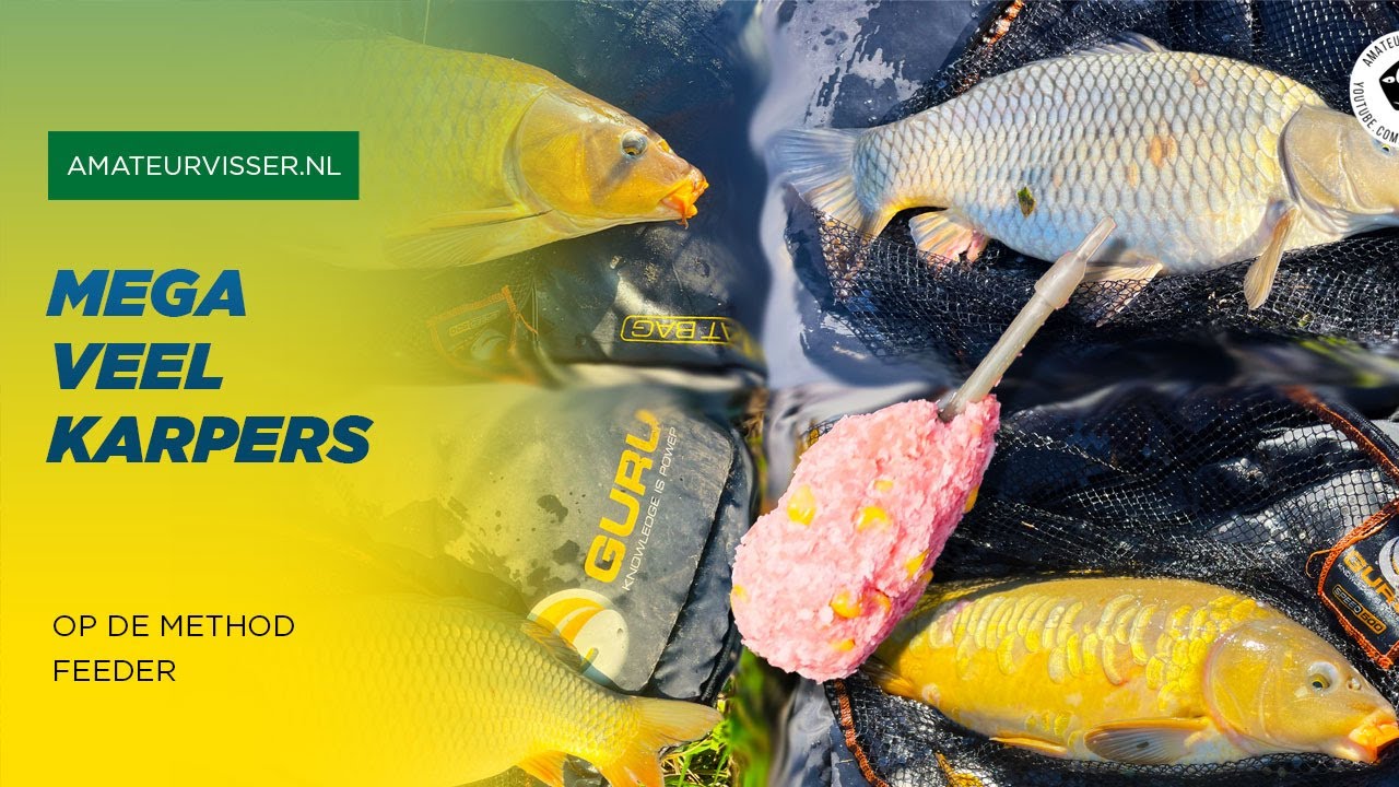 METHOD FEEDER MANIA karpers en zeelt