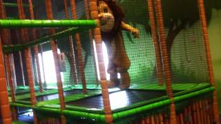 Leo på studsmattan...