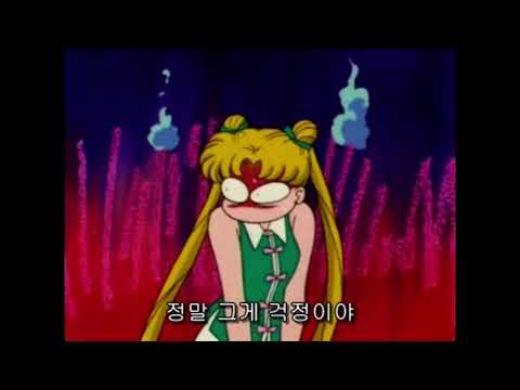 10세기동안 한결같은 바보우사기