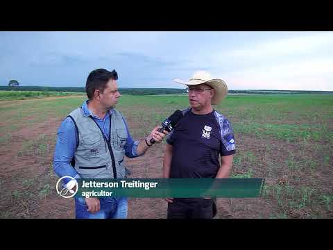 Clima adverso destrói patrimônios e renda da soja em MT | Patrulheiro Agro ep. 116 | Canal Rural