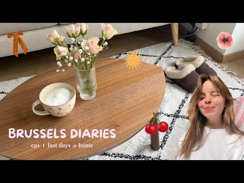 brussels diaries 💌 last days @ home