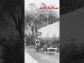 اكسبلور تيك توك ممشي Shorts 