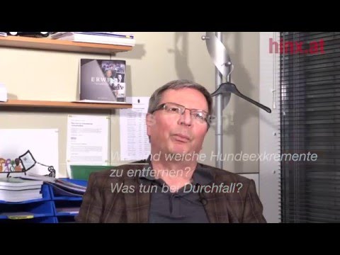 beseitigung-von-"weichem"-hundekot-durchfall?