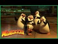 Os pinguins lutam contra Dave | DreamWorks Madagascar em Português