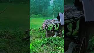 Satu Cinta Di Ujung Waktu
