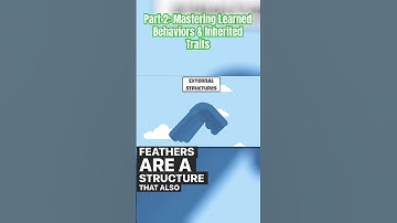Part 3: Nature or Nurture? Mastering Learned Behaviors and Inherited Traits -#behaviortraits