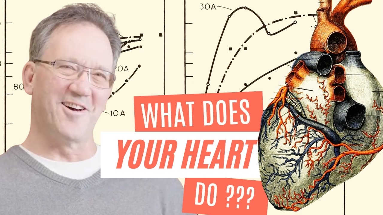 What does your heart do? (part I) ❤️ Thomas Cowan
