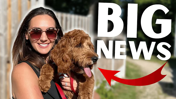 BIG NEWS! - LAURA'S FIRST DAY!