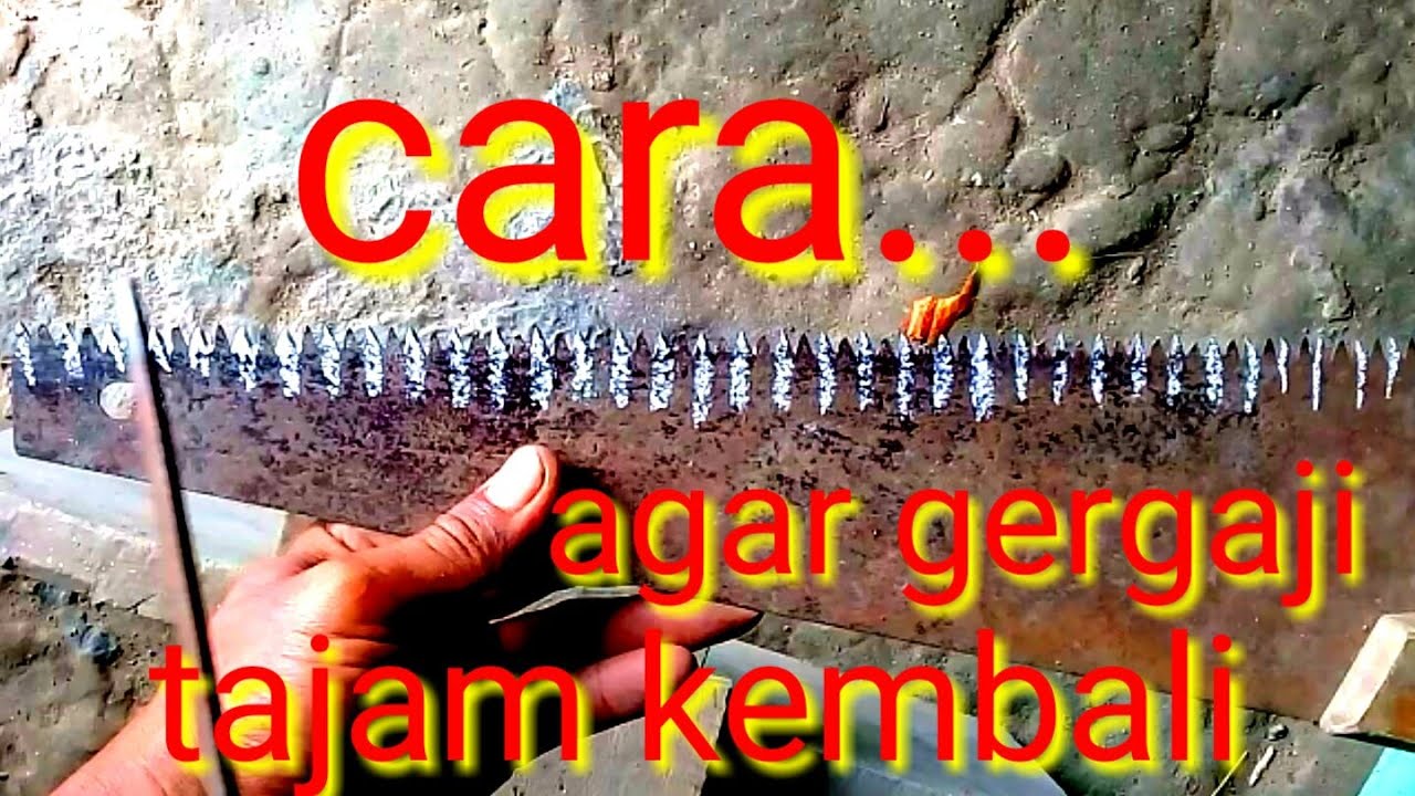  Cara  mengasah gergaji  potong kayu  untuk pemula agar  tajam 