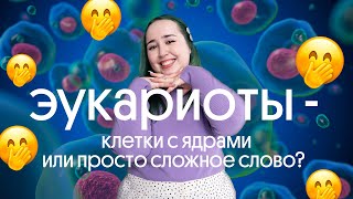 💚 ЧТО ТАКОЕ ЭУКАРИОТЫ И ЗАЧЕМ С НИМИ РАЗБИРАТЬСЯ? САМОЕ ПРОСТОЕ ОБЪЯСНЕНИЕ