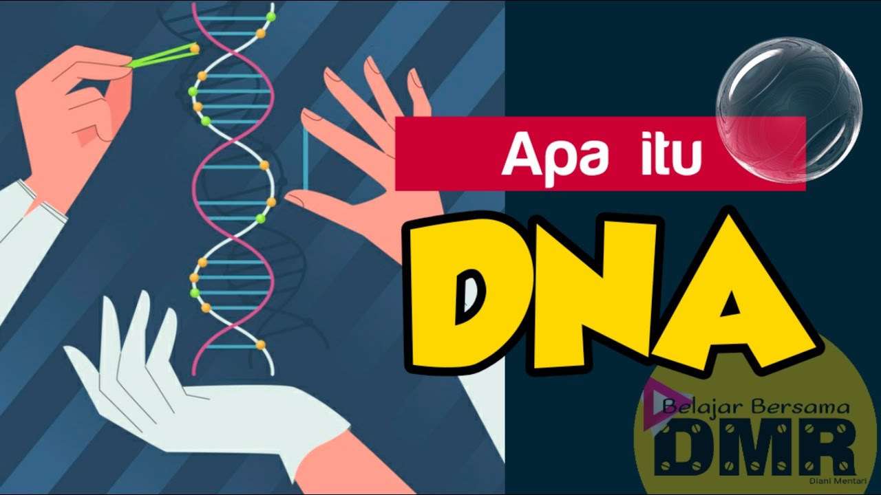 Apa Itu DNA I Mengenal Material Genetik Yang Disebut DNA YouTube Apa Itu DNA I Mengenal Material Genetik Yang Disebut DNA YouTube