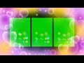 Wedding green screen Effect HD Video 2023 green screen frame