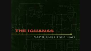 Plastic Silver 9 Volt Heart - The Iguanas chords