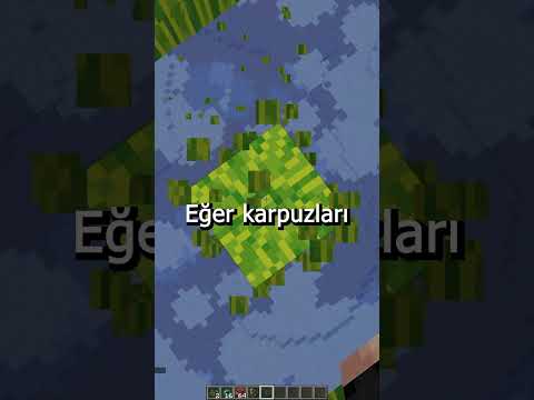 Minecraft'ta Çalışan Zaman Makinesi ⛏💎