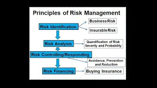 Risk Management definition | Principles of Risk Management| Identification , Analysis & Responding