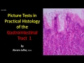 Picture tests in histology of the gastrointestinal system 1