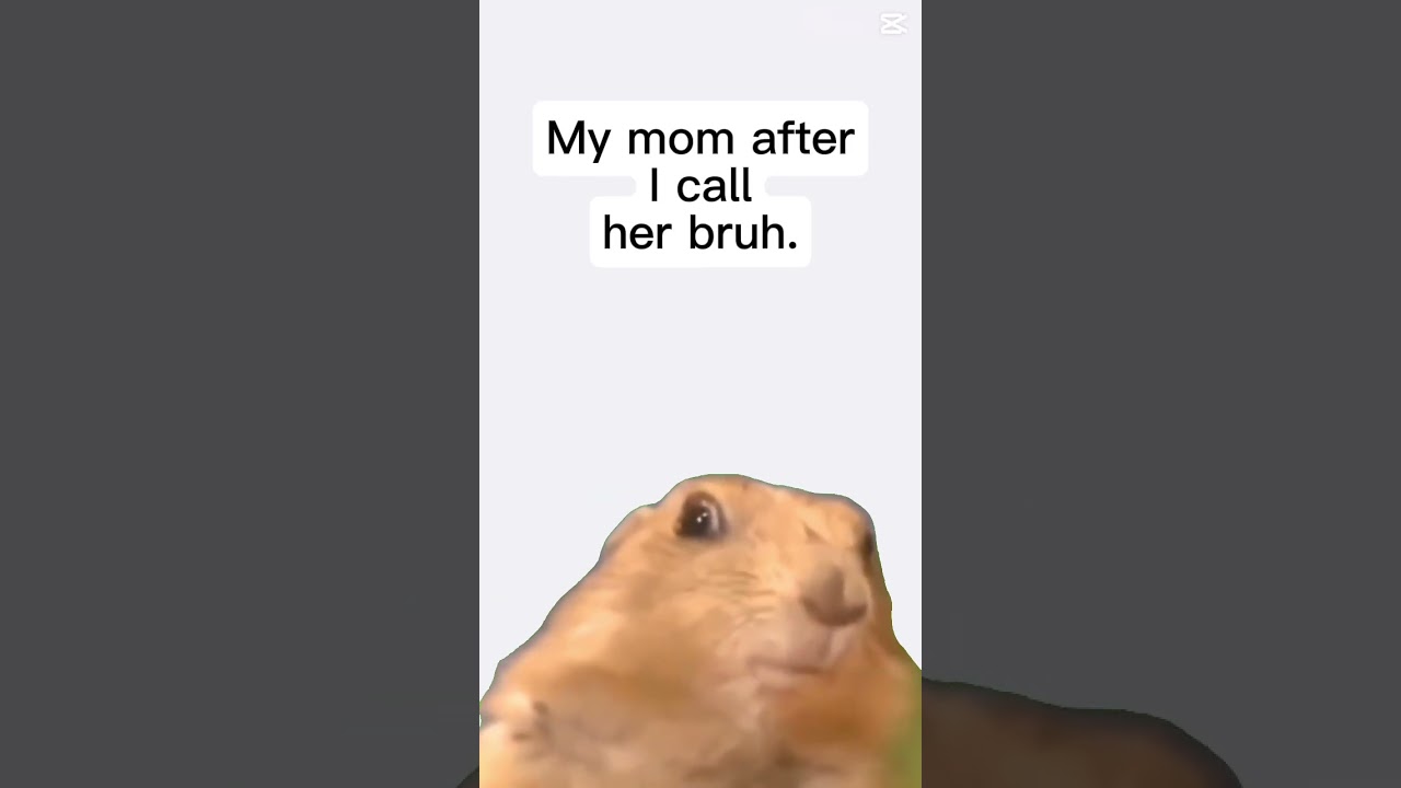 Ahmm ahmm …..😂😭🤡 