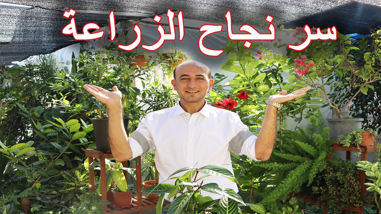 اسرار نجاح الزراعة, احتياجات النبات, Agriculture Success Secrets, Plant Needs