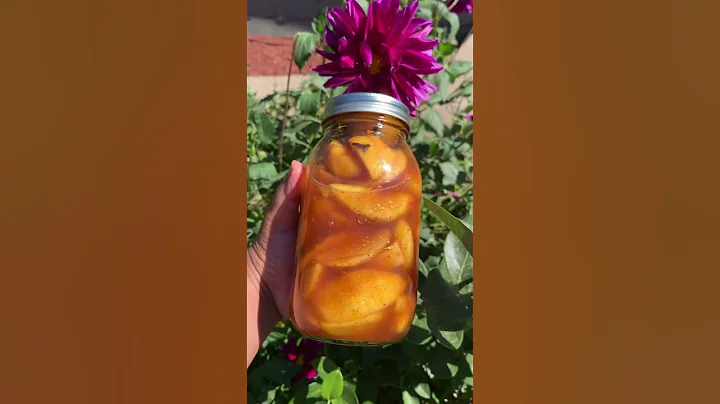Canned peaches 4 the 1st time. I’ll never go back to store bought. #shorts - DayDayNews