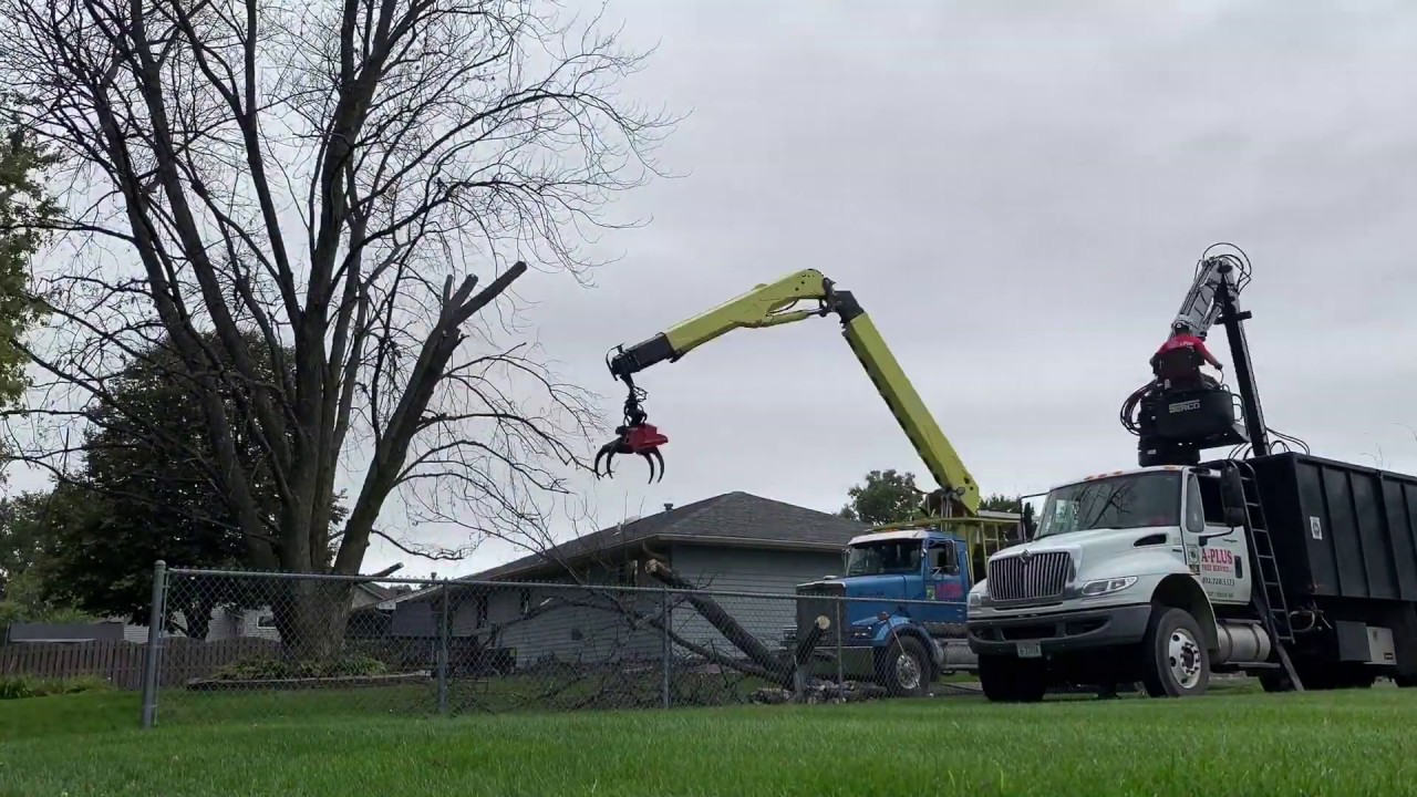 Grapple Saw Truck - Dead Silver Maple Removal - YouTube