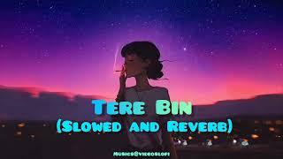 Tere Bin Female Version Ost  Slowed And Reverb  Shani Arshad  Sslofi