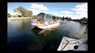 Science Rocks Swimming with Manatees in Crystal River, Florida