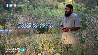 Aibelun nuvatha faalu belun by Sheikh Ali zaid