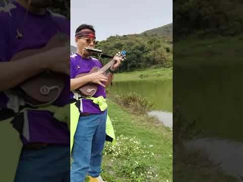 海闊天空-口琴x Ukulele