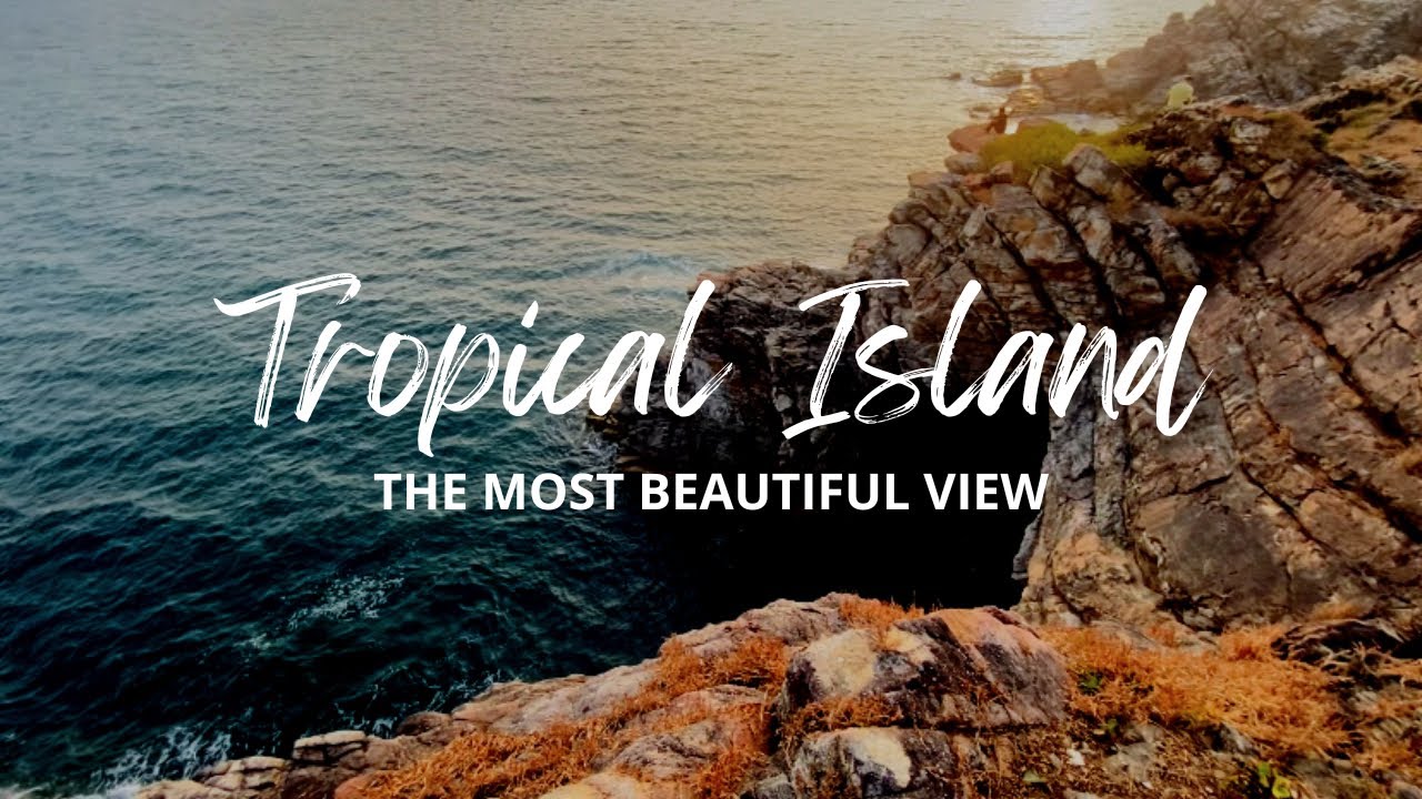 🌴 “Tropical Escape with the Gang” 