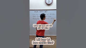 Mua bán con bò, lỗ lãi mấy triệu ? #education #maths