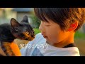 捨てられた子猫を家族にします。Vlog