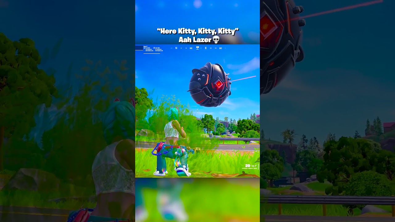 CATS CHASED THE WRONG LAZER 