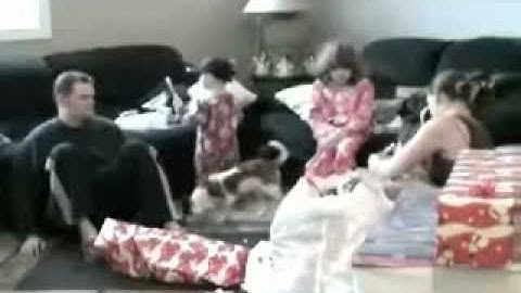 Angry Critter [from www.metacafe.com].flv