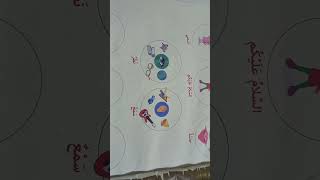CBSE Grade 2 ARABIC chapter 2(FIVE SENCE)