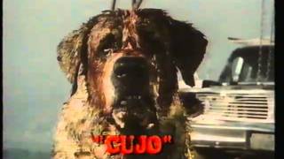 Video Coleccion - Spot