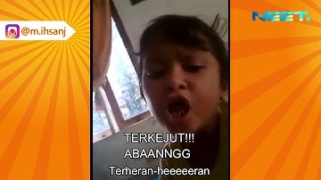 VIDEO LUCU!!! Makan Daging ANJING dengan Sayur KOL!!! Subtitle Indonesia