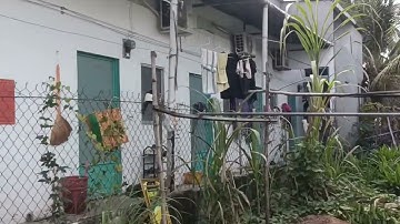 BÁN NHÀ TRỌ 6 PHÒNG GẦN KHU DÂN CƯ HÀNG BÀNG PHƯỜNG AN KHÁNH NINH KIỀU CẦN THƠ