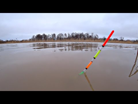 Рыбалка на маховую удочку с поплавком. Ловля на реке в дождь 2023.