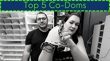 Top 5 Ball Pythons you need in your Collection!! Co-Dom Edition.