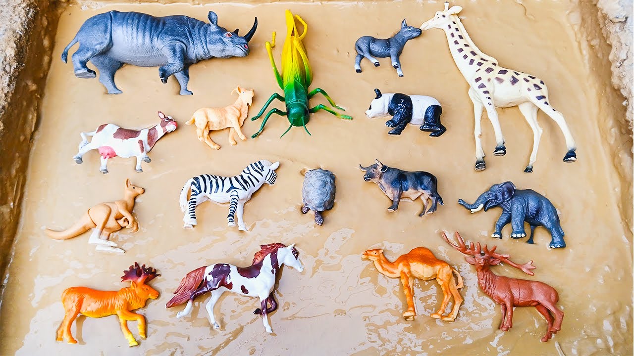 Wild Herbivore Animals Playing in Mud | Real Animal Clips for Kids | Safari Animal Fun
