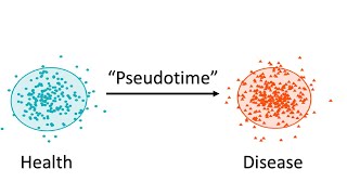 Artificial Intelligence Unleashed on the Brain: Using Machine Learning to Predict Alzheimer's