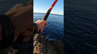 Dentex en acantilados #fishing