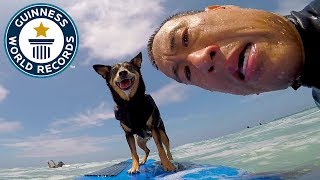 Abbie Girl Longest Wave Surfed By A Dog - Guinness World Records