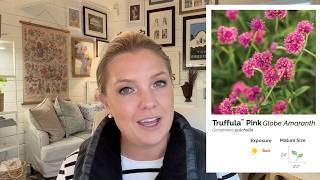 Best Bang For Your Buck Annuals Truffula™ Pink