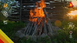 Bushcraft camp 🔥 CAMPFIRE – 12 hours NO AI