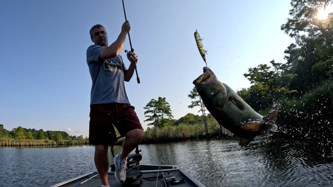 This Creek is Full of Bass!….Our Annual Trip to Back Bay, VA