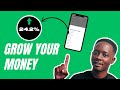 How to save and grow your money (With Achieve)