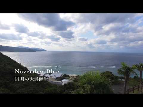 November Blue - 11月の大浜海岸（奄美大島）ドローン空撮4K