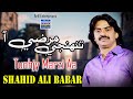 Tunhjy Marzi Aa | Shahid Ali Babar | Official Music Video | Arif Enterprises